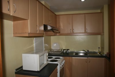 FOR RENT: ONE BEDROOM CONDOMINIUM UNIT IN GREENBELT PARKPLACE IN MAKATI CITY,