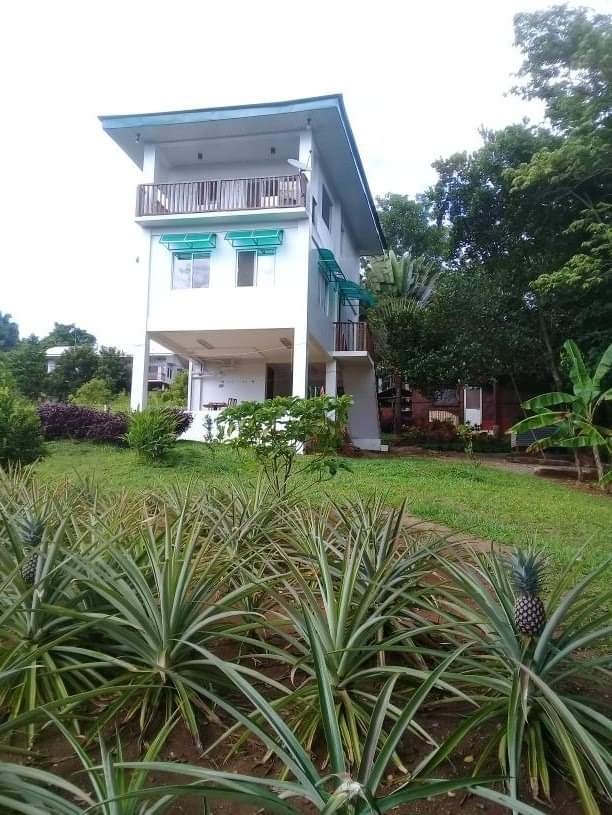 House and Lot for Sale Palawan