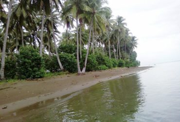 Beach Lot Palawan