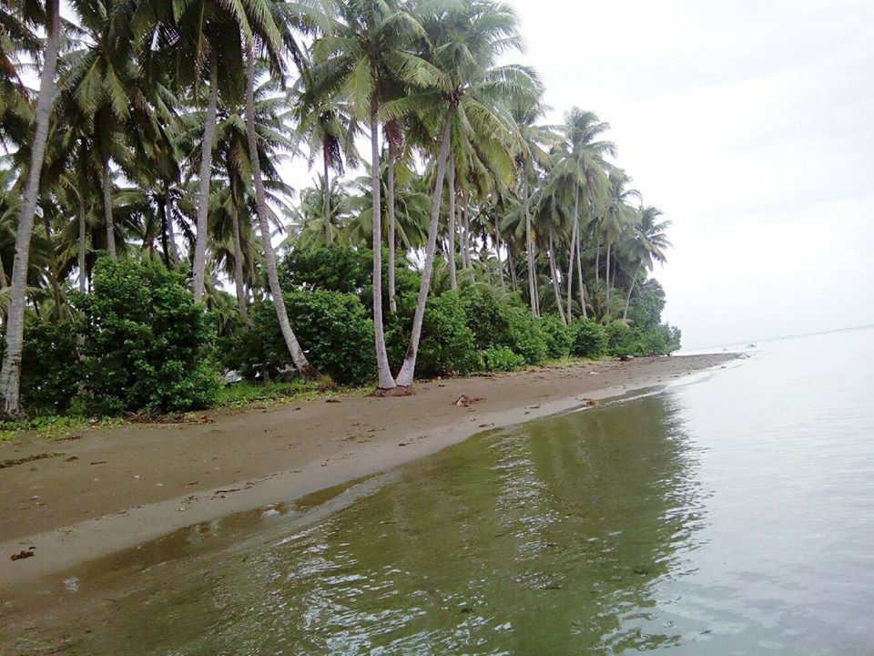 Beach Lot Palawan