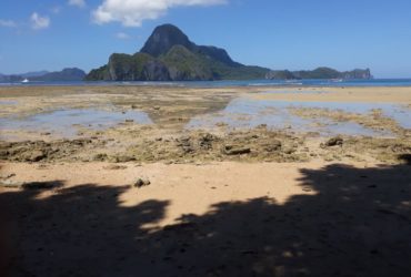 El Nido Beach Lot for Sale with Clean Title