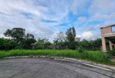 AFFORDABLE LOT ONLY IN PALO LEYTE