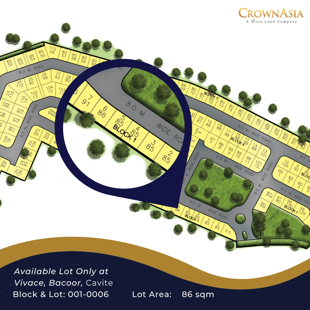 LOT FOR SALE IN (VIVACE) BACOOR CAVITE