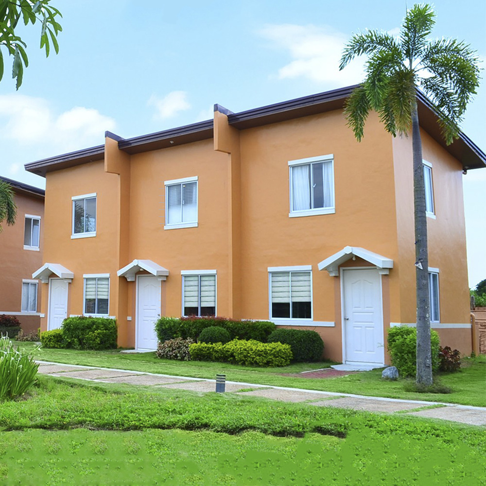 Affordable house and lot in Cabanatauan City arielle (EU) 54  sqm lot area