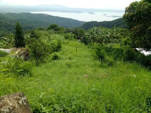 Lot for sale in overlooking tagaytay