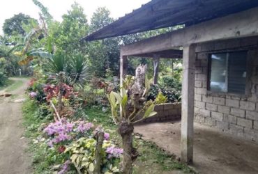 House and lot for sale tagaytay 1m