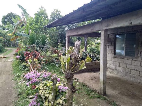 House and lot for sale tagaytay 1m