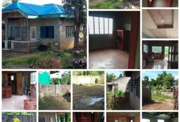 House for rent in tagbilaran city fully furnished