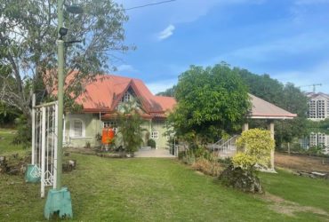 House for rent in dauis bohol