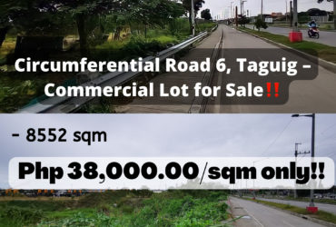Circumferential Road 6, Taguig – Commercial Lot for Sale‼️
