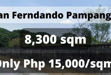 Private: San Ferndando Pampanga for Sale‼️
