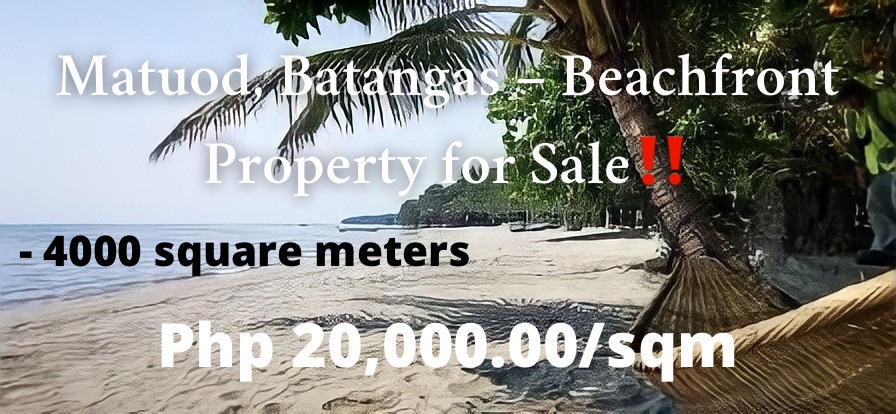 BEACHFRONT PROPERTY FOR SALE‼️