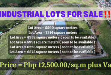 INDUSTRIAL LOTS FOR SALE‼️
