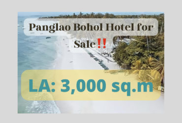 Panglao Bohol Hotel for Sale‼️
