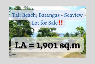 Tali Beach, Batangas – Seaview Lot for Sale‼️
