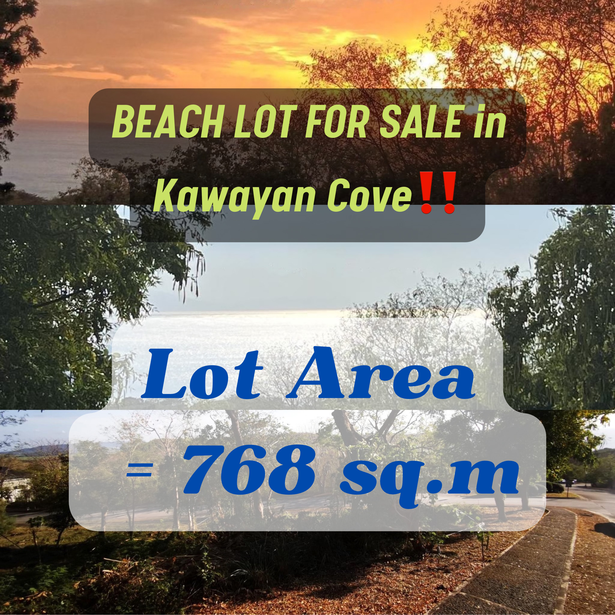 BEACH LOT FOR SALE in Kawayan Cove‼️