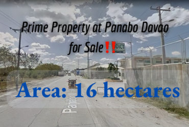 Prime Property at Panabo Davao for Sale with 16 hectares‼️