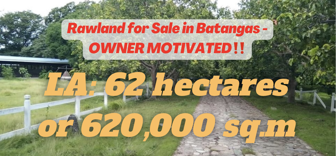 Farm Lot for Sale in Batangas – WELL PRICED TO SELL FAST‼️