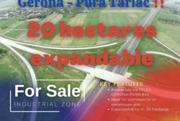 Gerona, Pura Tarlac for Sale 20 hectares expandable‼️