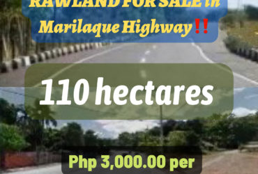 RAWLAND FOR SALE in Marilaque Highway – Antipolo Rizal‼️