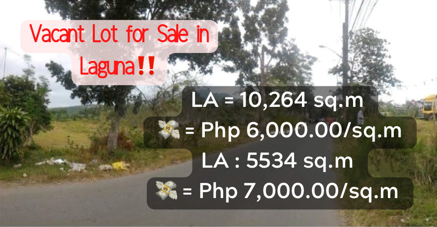 Vacant Lot for Sale in Calamba, Laguna‼️