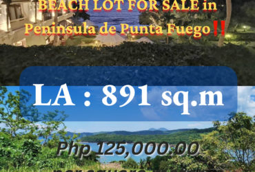 BEACH LOT FOR SALE in Peninsula de Punta Fuego‼️