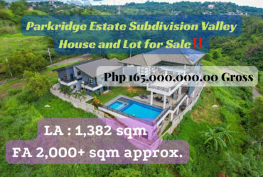 Parkridge Estate Subdivision Valley House and Lot for Sale‼️