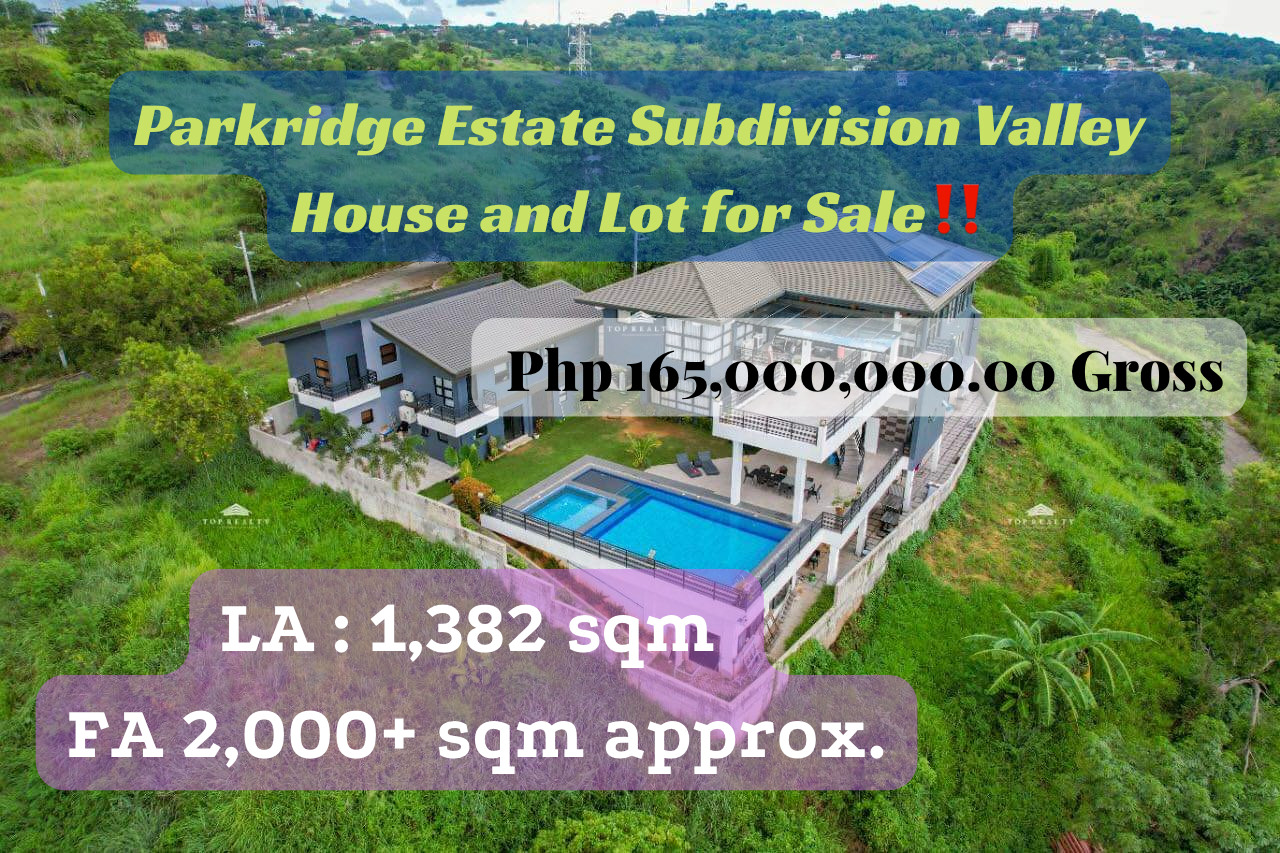 Parkridge Estate Subdivision Valley House and Lot for Sale‼️