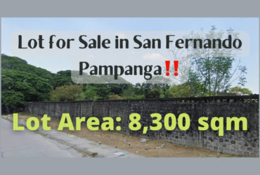 Lot for Sale in San Fernando Pampanga with 8,300 sq.m‼️