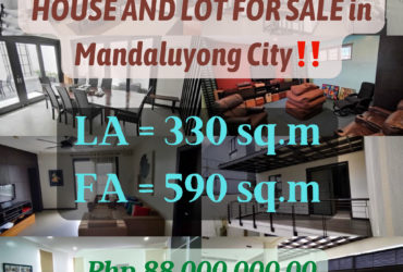 HOUSE AND LOT FOR SALE in Mandaluyong City‼️