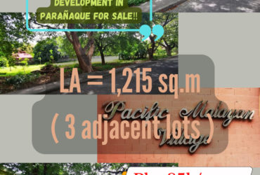 PROPERTIES FOR RESIDENTIAL DEVELOPMENT in Parañaque for Sale‼️