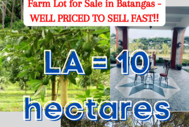 Farm Lot for Sale in Batangas – WELL PRICED TO SELL FAST‼️