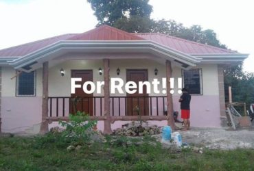 Room for rent in Tagbilaran city monthly with CR