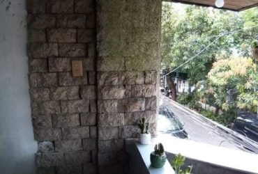 Apartment for rent in Mandaluyong  2-3 pax