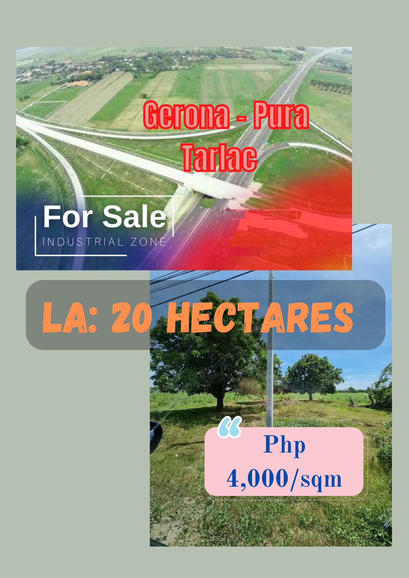 Gerona –  Pura Tarlac for Sale 20 hectares expandable‼️