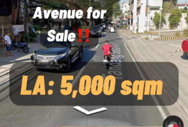 Tandang Sora Avenue, Quezon City for Sale @ Php  450,000,000.00‼️