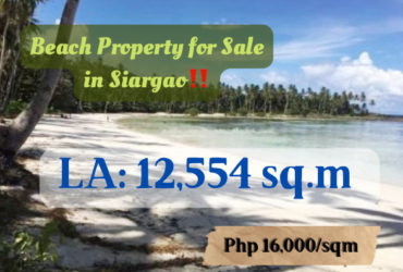 Beach Property for Sale in Siargao, Luxury Properties‼️