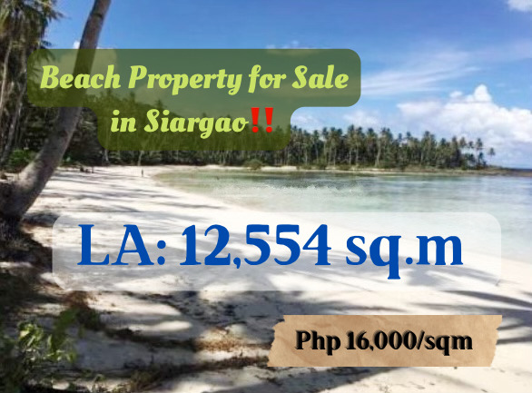 Beach Property for Sale in Siargao, Luxury Properties‼️