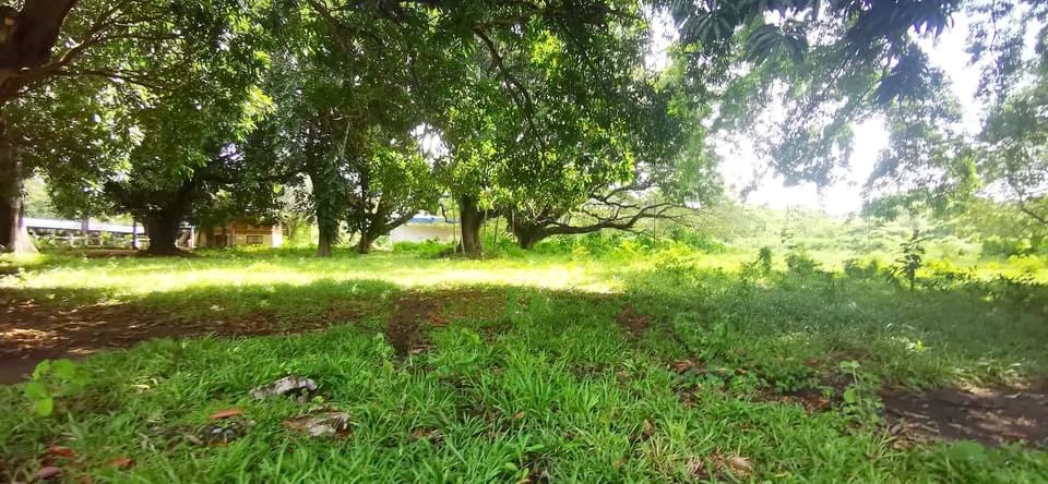 RAWLAND / FARM FOR SALE in Calatagan, Batangas with 62 hectares Lot Area‼️