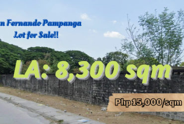 San Fernando Pampanga Lot for Sale with 8,300 sq.m ‼️