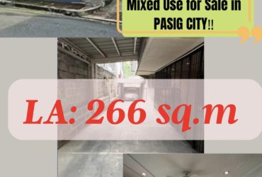 Residential/Commercial/Mixed Use for Sale in PASIG CITY‼️