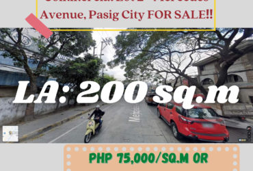 Commercial Lot 2 – Mercedes Avenue, Pasig City FOR SALE‼️