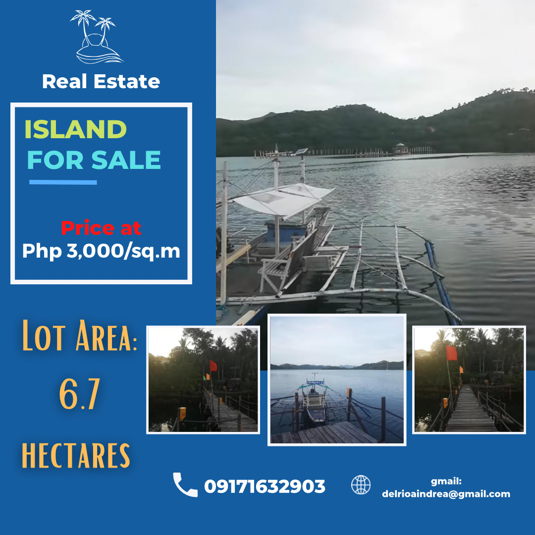 Wonderful Island for Sale in Coron, Palawan‼️