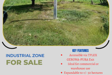 For sale 20 hectares expandable in Gerona Pura Tarlac‼️