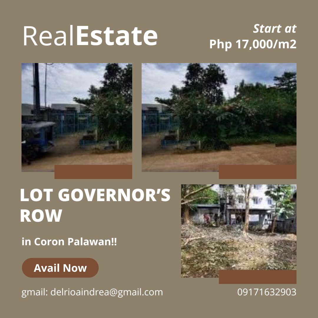 BUY THIS RARE LOT GOVERNOR’S ROW in Coron Palawan‼️