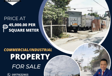 Taguig City – Commercial/Industrial Property for Sale‼️