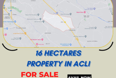 16 hectares Property in Acli, Mexico Pampanga for Sale‼️
