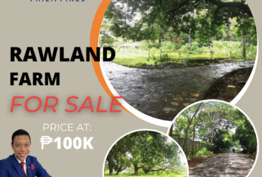 RAWLAND / FARM FOR SALE in Calatagam, Batangas‼️