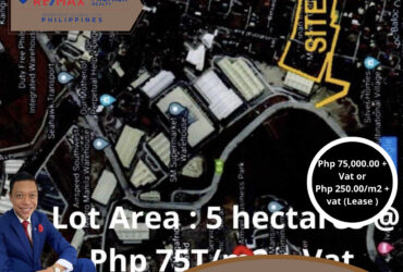 COMMERCIAL / INDUSTRIAL LOT FOR SALE/ LEASE in Sucat Road‼️