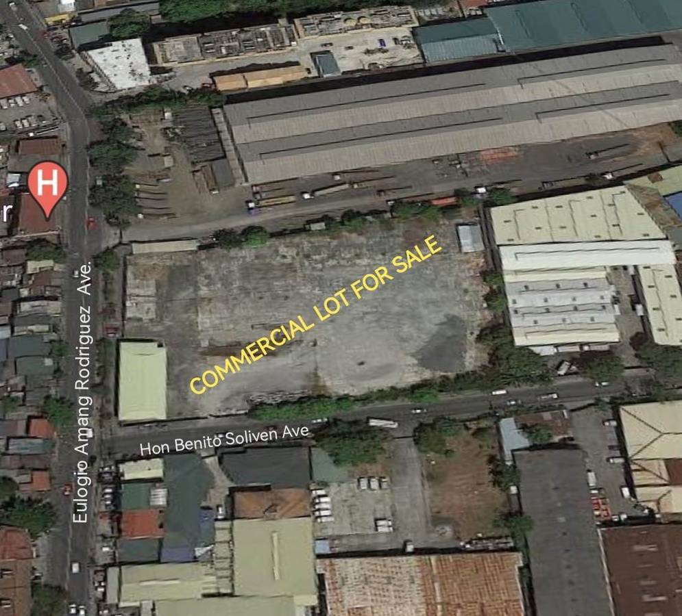 1559 sqm Commercial Lot for Sale Pasig City Near Eastwood City Good for Condominium